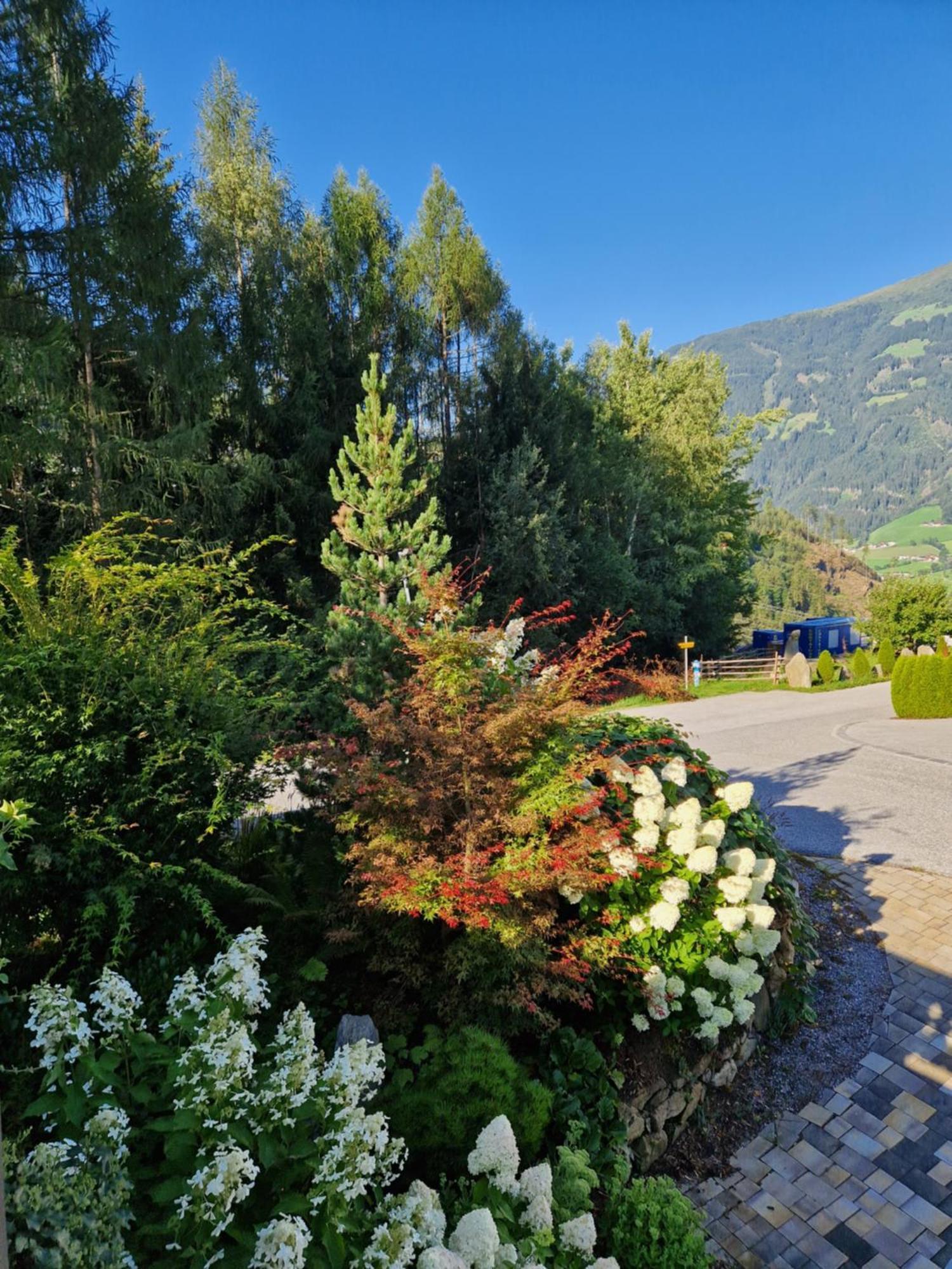 Appartement Haus Roland *